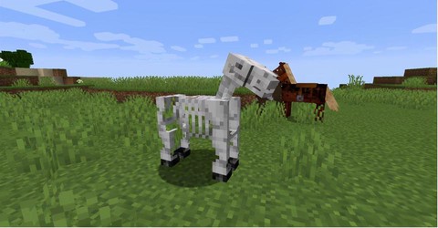 我的世界骷髅马怎么喂[图2]
