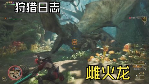 怪物猎人ol雌火龙的红玉有什么用