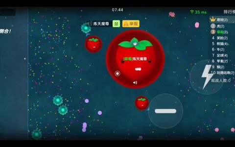 球球大作战开挂怎么开[图2]