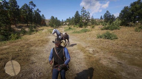 荒野大镖客什么设备