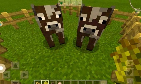 我的世界牛怎么繁殖[图2]