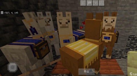 我的世界中怎么骑羊驼