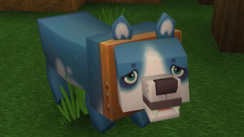 迷你世界怎么训练狗[图2]