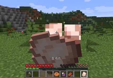 我的世界共鸣果怎么用